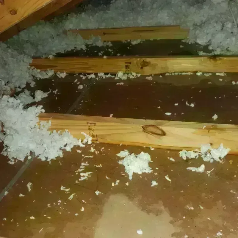 Attic Water Damage in Seminole, TX