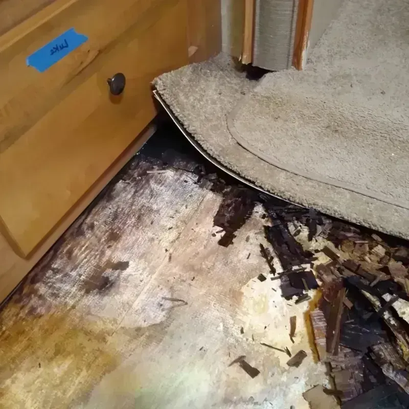 Wood Floor Water Damage in Seminole, TX